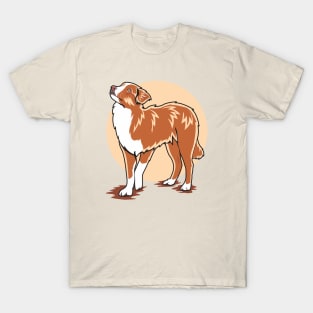 Nova Scotia Duck Tolling Retriever Looking At The Sky T-Shirt